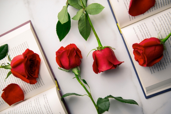 Sant Jordi 2026: Catalu&ntilde;a celebra el d&iacute;a de los libros y las rosas